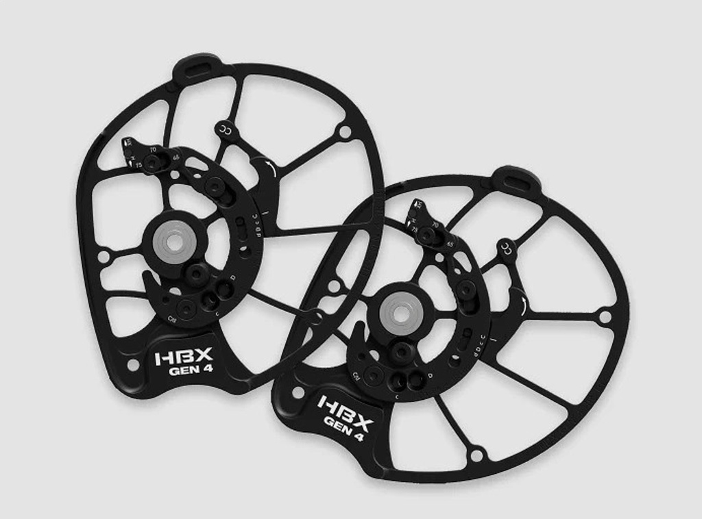 Compound Alpha AX-2 29 Hoyt