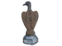 Kormoran Leitold