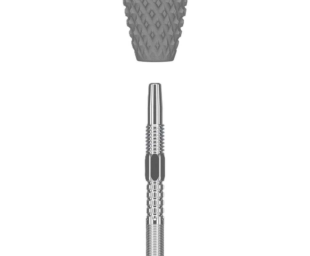 Steel Dart Dimitri van den Bergh G1 SP