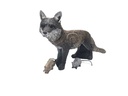 Fuchs Floki B.M.R.