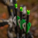 Armbrustpfeil Acu-X RD 20" TenPoint