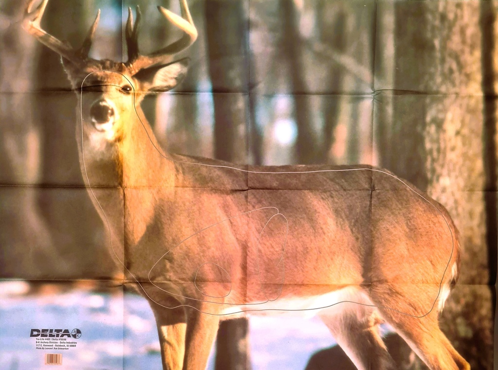 Cible Animale Whitetail Deer 402 Delta