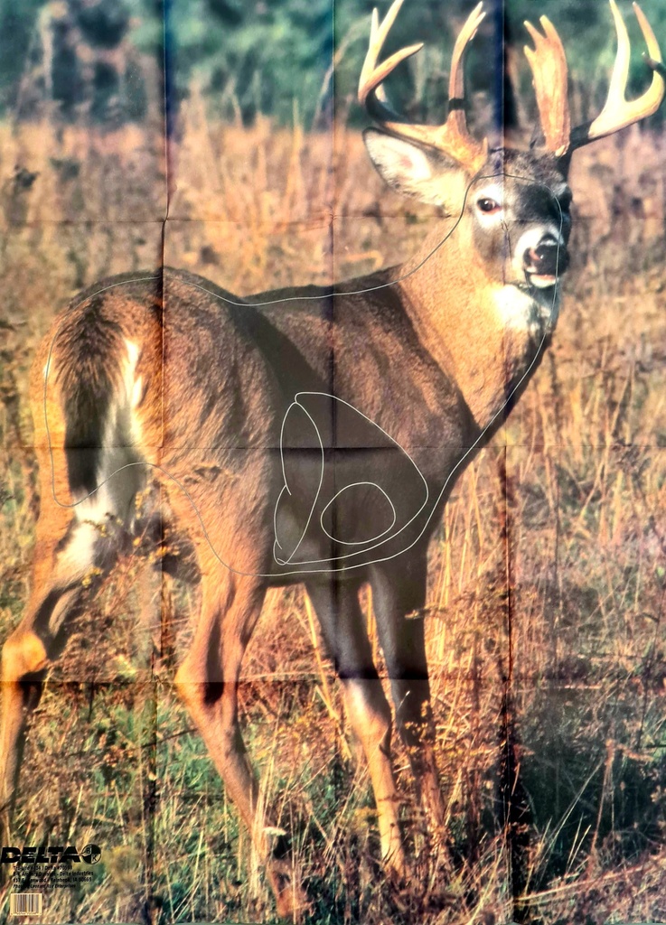 Animal Target Whitetail Deer 404 Delta