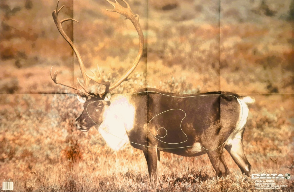 Tierbild Caribou Delta