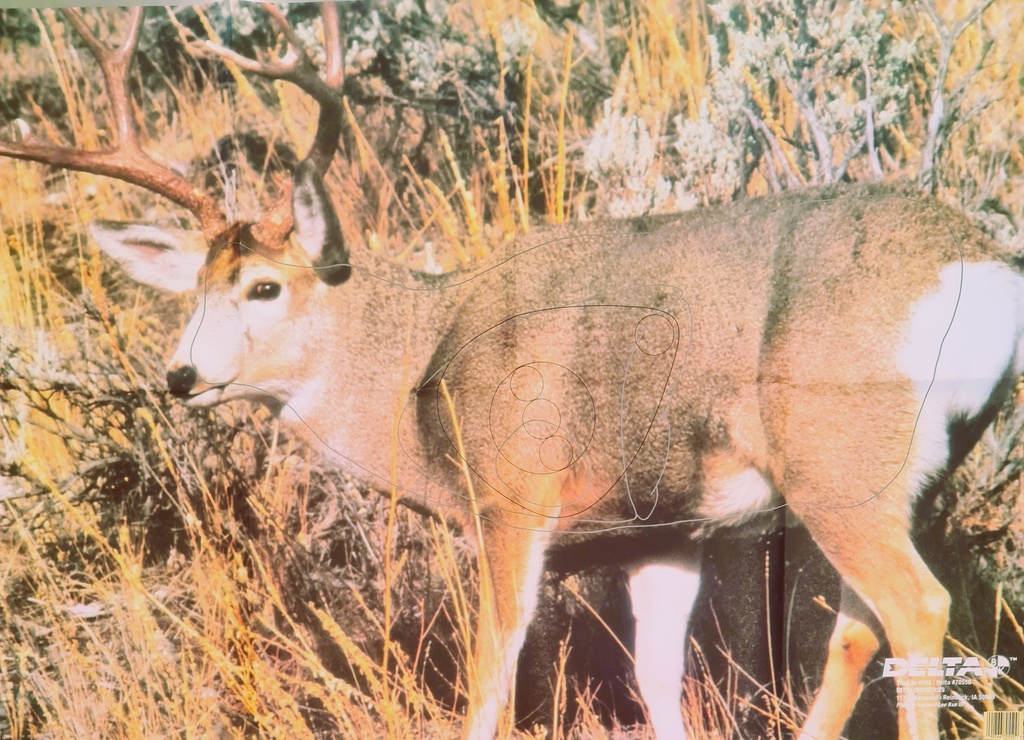 Animal Target Whitetail Deer Delta