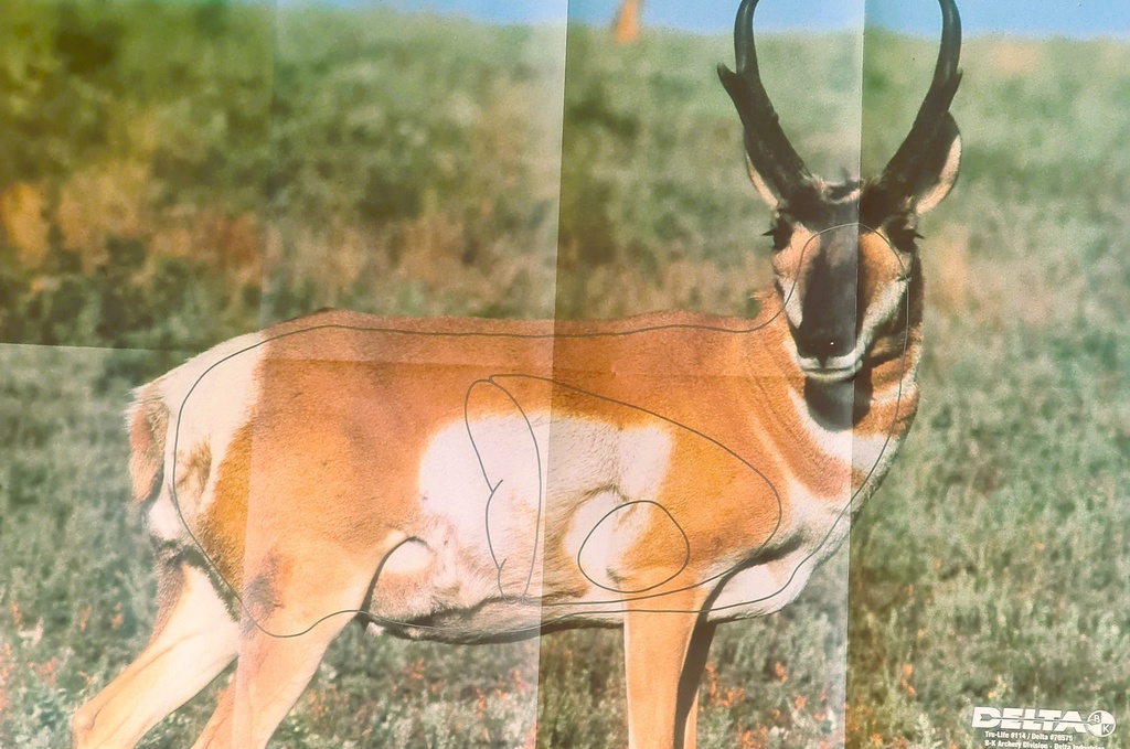 Cible Animale Antelope Delta