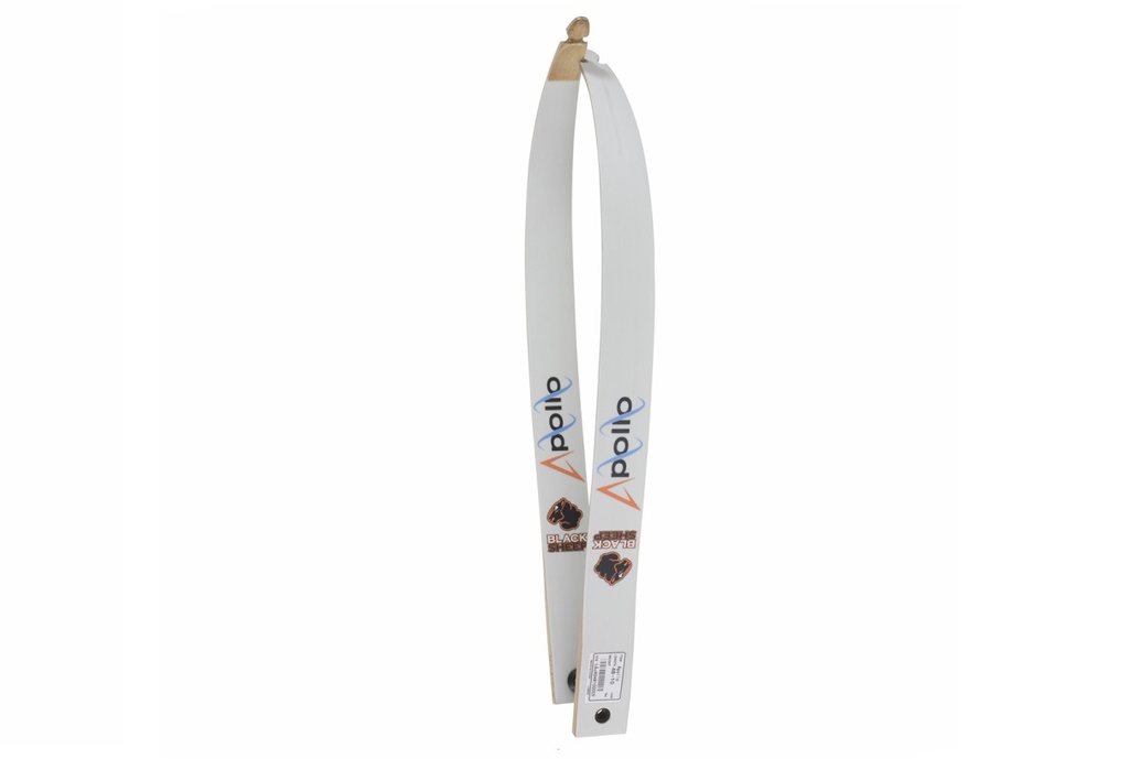 Branches Schulrecurve 