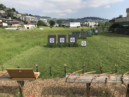 Image de l'article