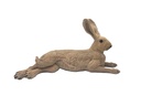Hare Herbert B.M.R.