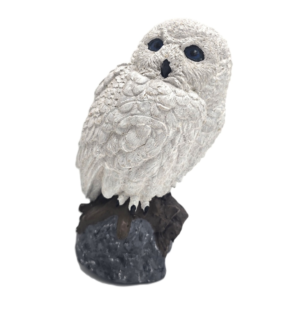 Owl Lilli B.M.R.