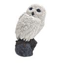 Owl Lilli B.M.R.