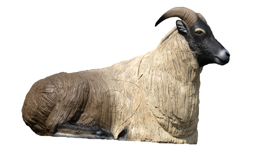 Tahr de l'Himalaya couché SRT