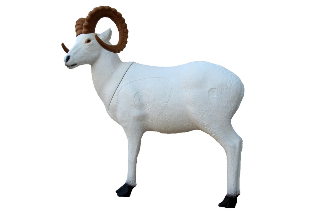 Dall Sheep SRT