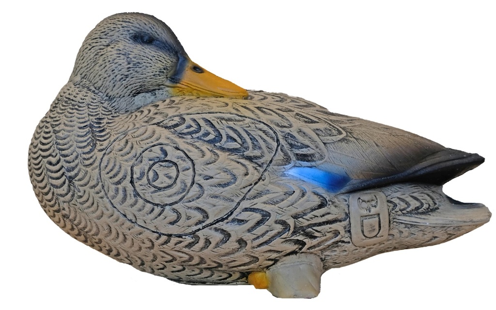 Canard Anatra 3Di SRT