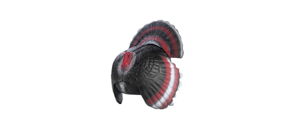 La cour de Turquie FB 