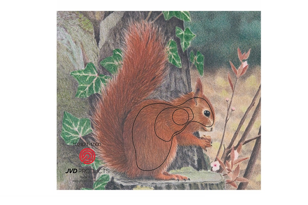 Tierbild Eichhörnchen