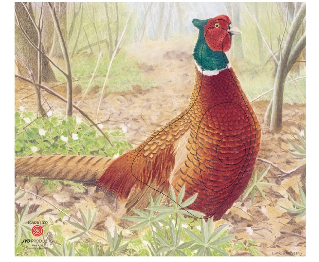 Animal picture Pheasant