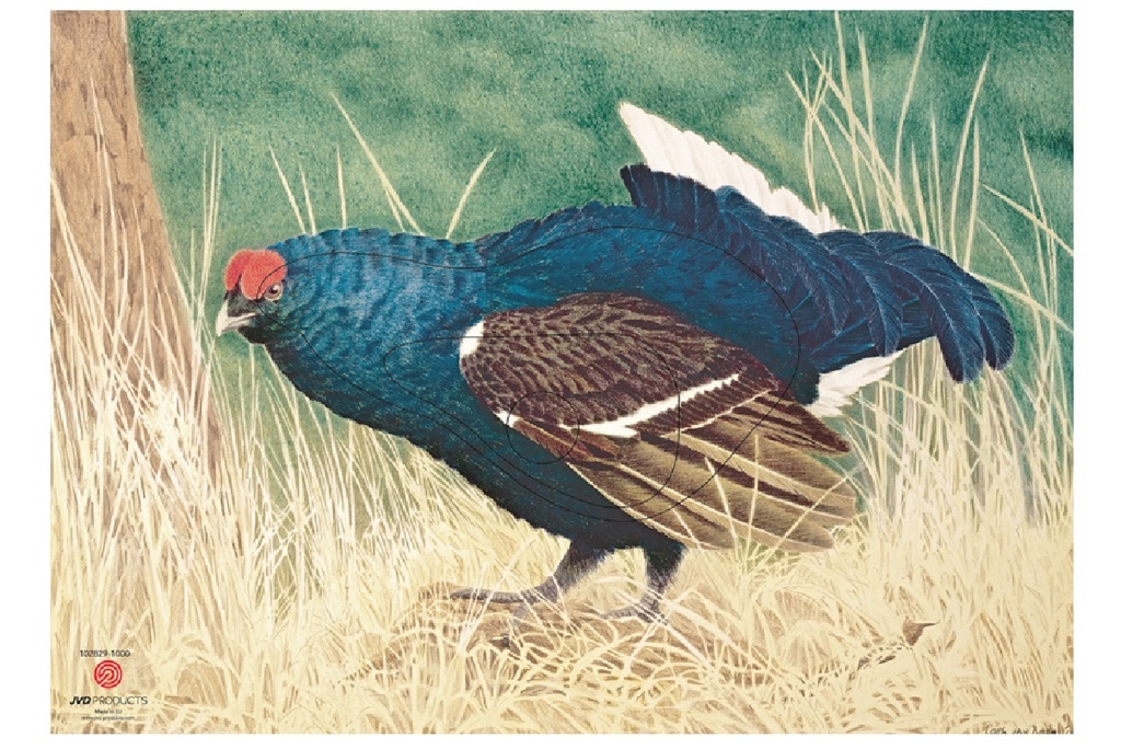 Photo d'animal Tétras bleu