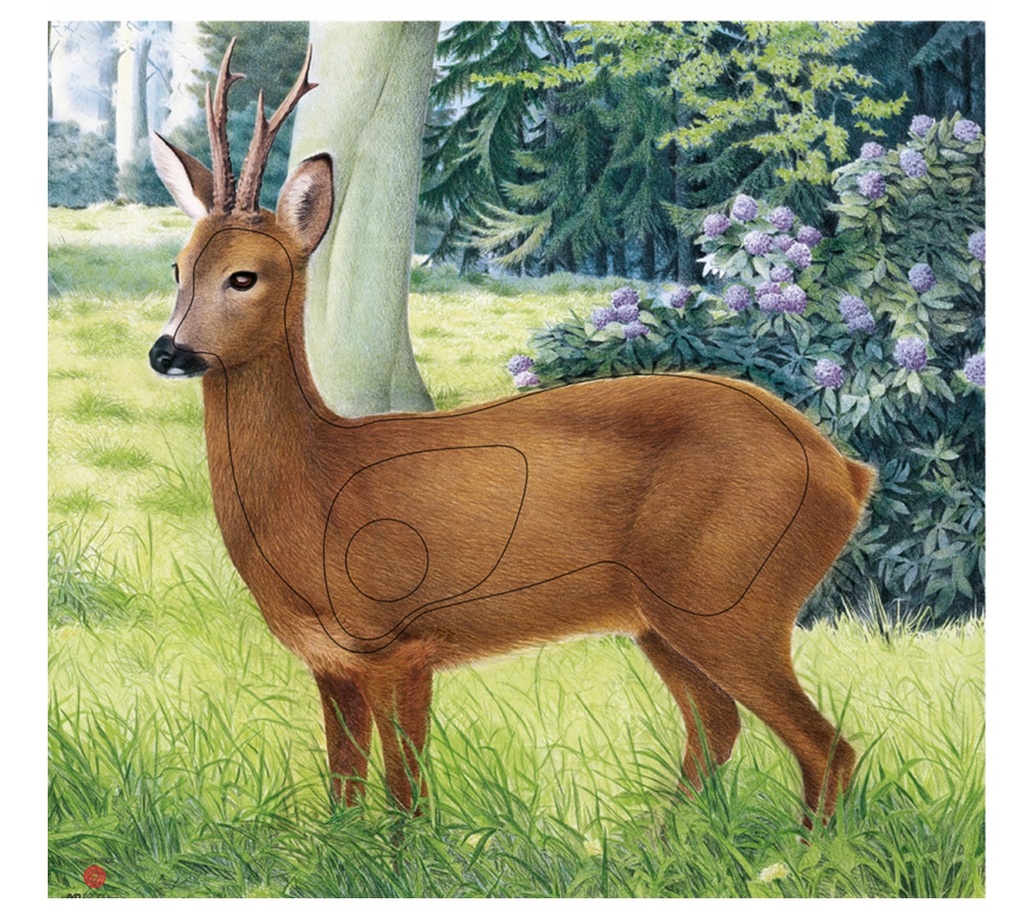 Photo d'animal Biche