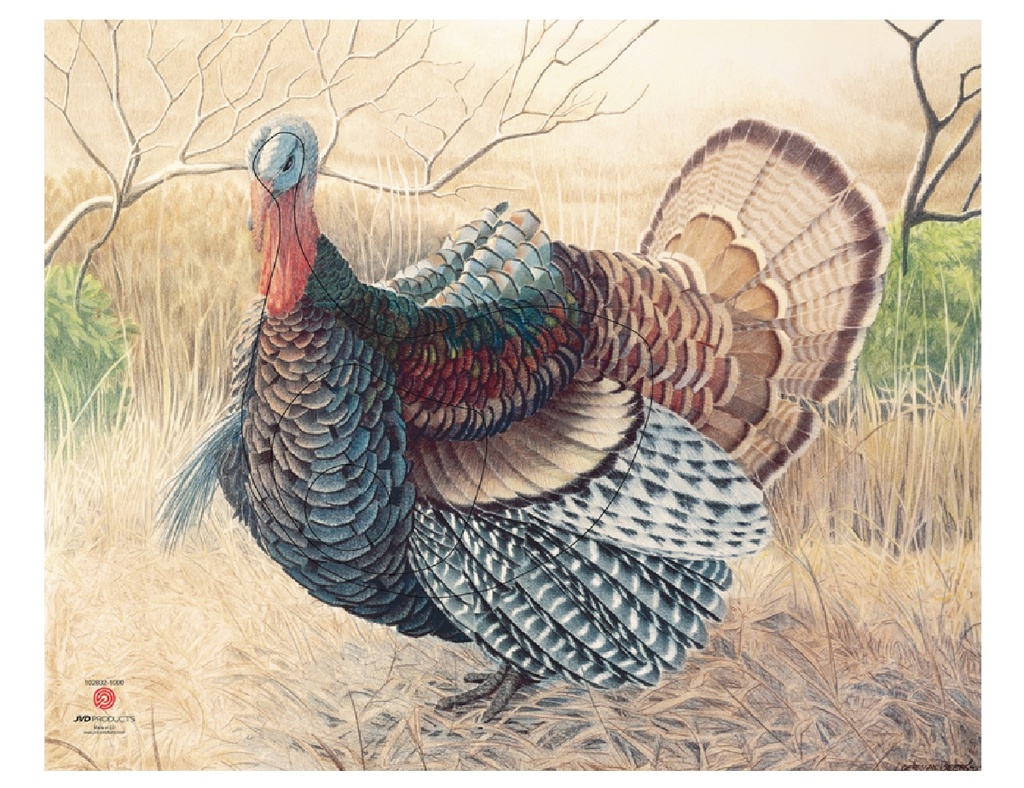 Animal picture Turkey