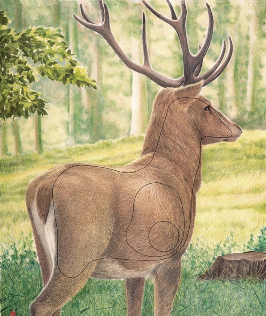 Animal picture Large Deer