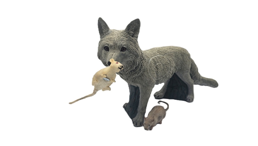 Renard Floki B.M.R. 