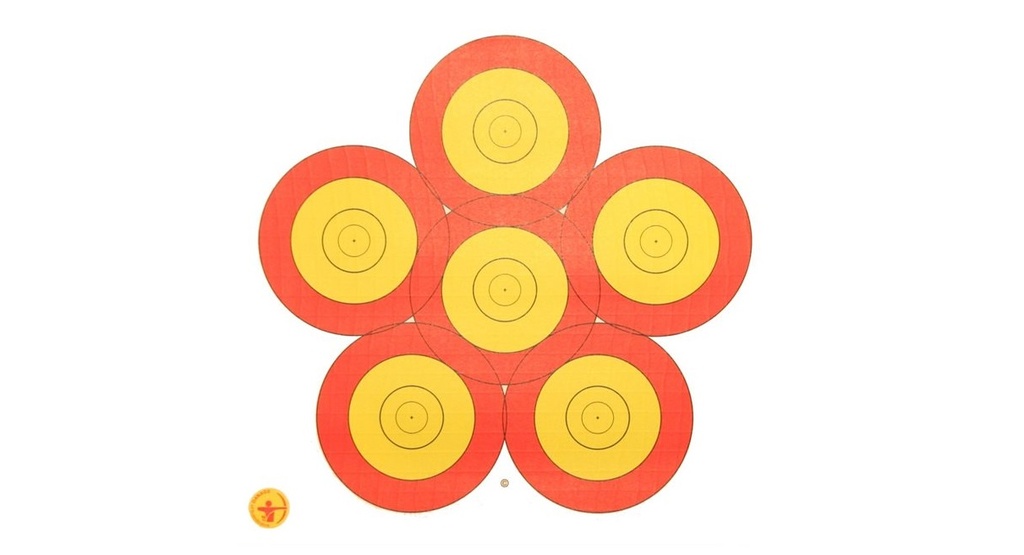 Target Face 40cm 6-Spot Danage