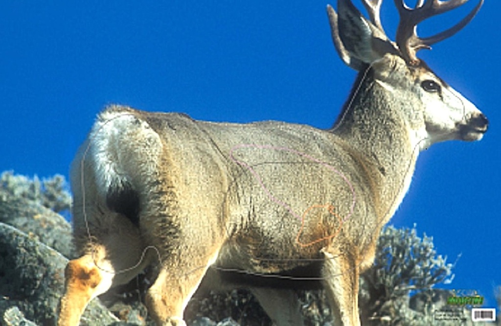 Cible Animale Mule Deer Blue Martin