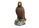 Golden eagle sitting Leitold