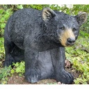 Ours au miel qui court FB 