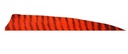 Naturally Feathers RW Shield 3" Barred