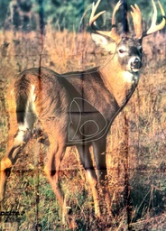 Tierbild Whitetail Deer 404 Delta