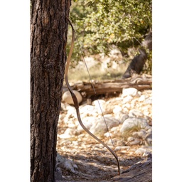 Shop | Strebel Bogensport