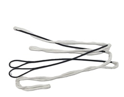 String D75 Hoyt