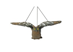 Eagle owl flying Leitold