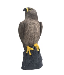 Falcon Horst B.M.R.