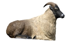 Tahr de l'Himalaya couché SRT
