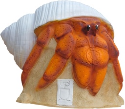 Hermit crab  3Di SRT 