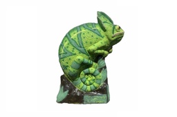 Leon grünes Chamäleon SRT