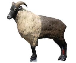 Himalayan Tahr SRT