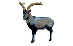 Steinbock Cabra Montès  SRT