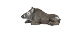 Boar lying down FB 