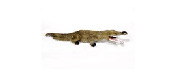 Crocodile small  FB 