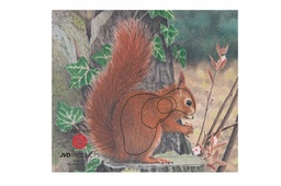 Tierbild Antelope Delta (Kopie)