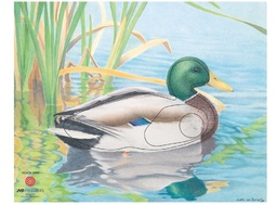 Animal picture Duck