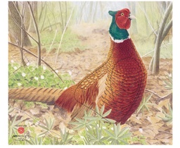 Photo d'animal Faisan