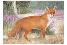 Photo d'animal Renarde