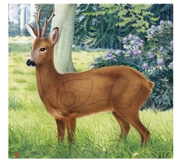 Photo d'animal Biche