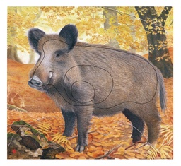 Photo d'animal Sanglier