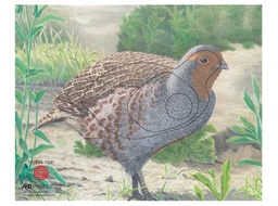 Tierbild Rebhuhn